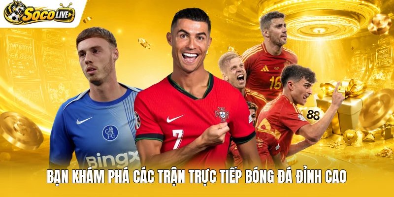Bạn khám phá các trận trực tiếp bóng đá đỉnh cao