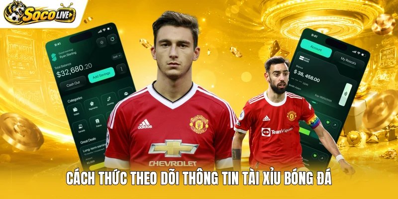 Cách thức theo dõi thông tin tài xỉu bóng đá