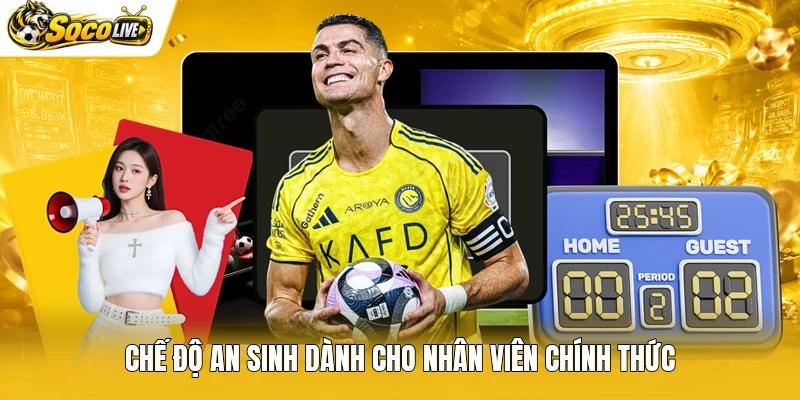 Chế độ an sinh dành cho nhân viên chính thức