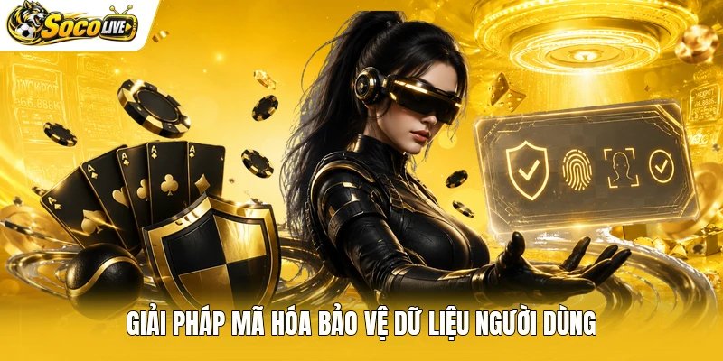 Giải pháp mã hóa bảo vệ dữ liệu người dùng