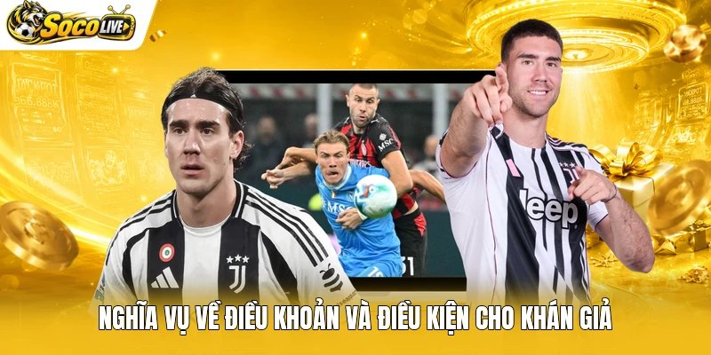Nghĩa vụ về điều khoản và điều kiện cho khán giả