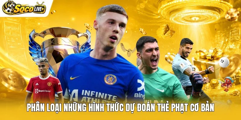 Phân loại những hình thức dự đoán thẻ phạt cơ bản