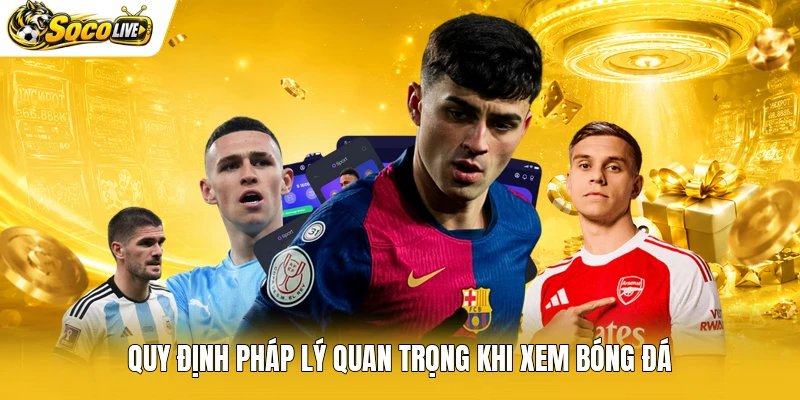 Quy định pháp lý quan trọng khi xem bóng đá
