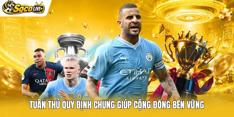 Tuân thủ quy định chung giúp cộng đồng bền vững